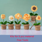 Kit crochet bouquet de fleurs — tulipes, tournesols, marguerites